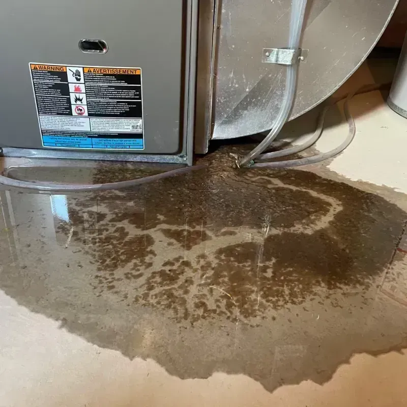 Appliance Leak Cleanup in Bourbonnais, IL